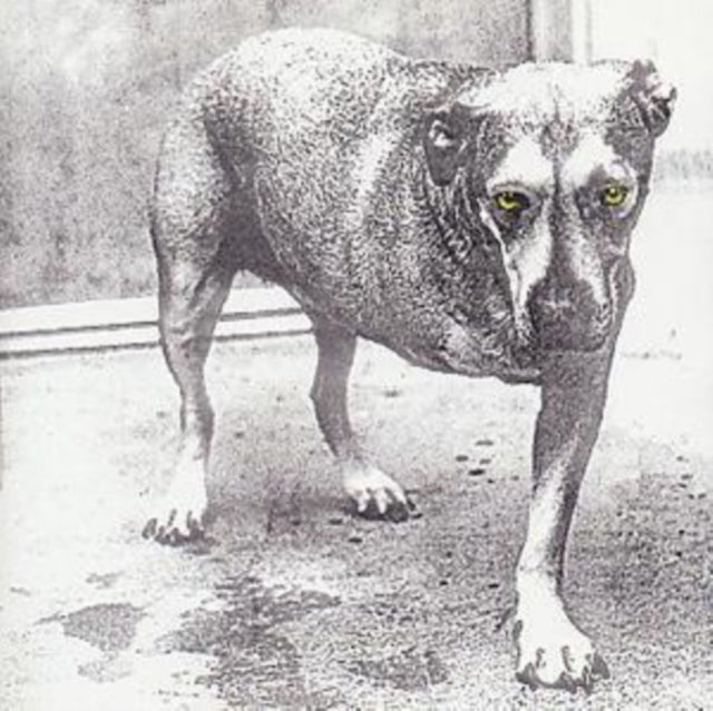 Alice in Chains - Alice in Chains - CD