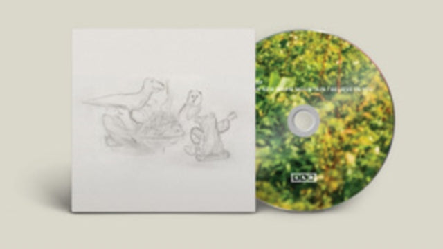 Big Thief - Dragon New Warm Mountain I Believe in You - CD