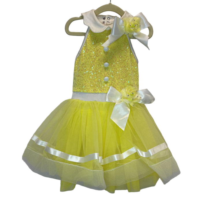Dance Costume