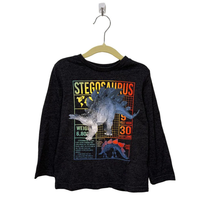 LS Shirt / Stegosaurus