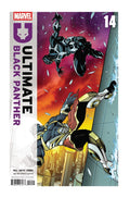 Marvel - Ultimate Black Panther #14