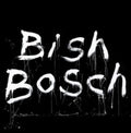 Scott Walker - Bish Bosch - CD
