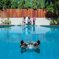 Sparks - Hippopotamus - 2LP - Vinyl