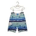Striped Swim Trunks / Shark Fins