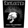 The Exploited Back Patch