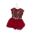 Tulle + Sequin Dress