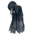 Witch Dress/Hat/Metallic